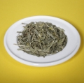 Entcoffeinierter Sencha