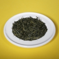 Japan Gyokuru Tokiwa Biotee
